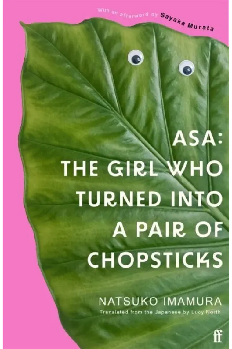 bookish-7911066
