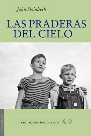 libreriasinopsis1105402