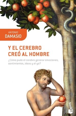 libreriasinopsis1107456