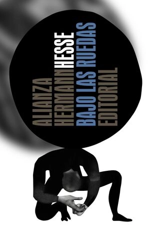 libreriasinopsis1120158