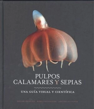 libreriasinopsis1127365