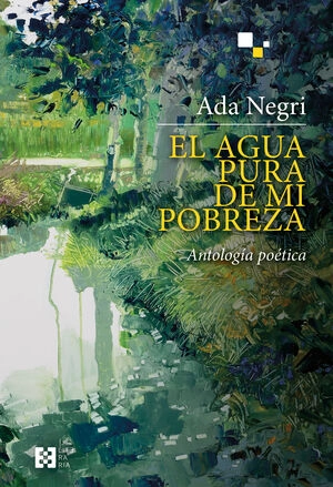 libreriasinopsis1173373