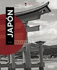 libreriasinopsis1353742