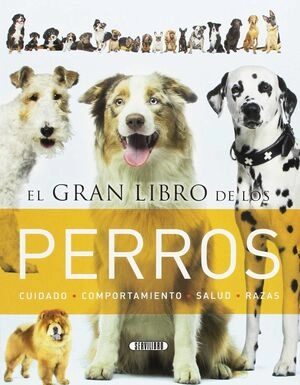 libreriasinopsis13557