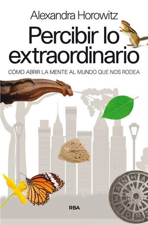 libreriasinopsis1373590