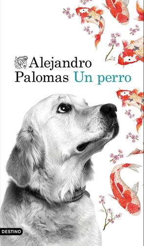 libreriasinopsis1617380