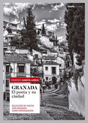 libreriasinopsis1780961