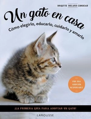 libreriasinopsis1824078