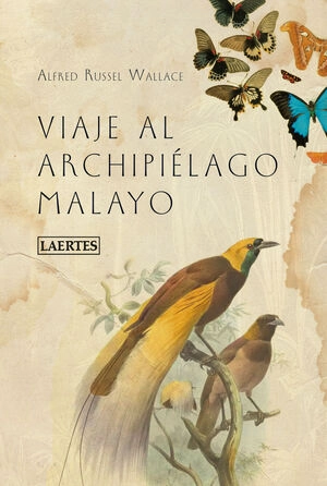 libreriasinopsis1864183