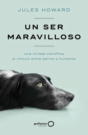 libreriasinopsis1894062