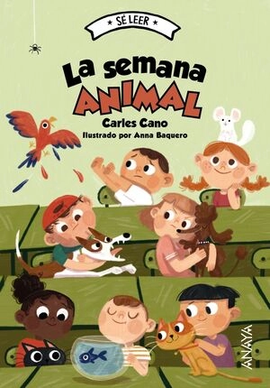 libreriasinopsis2050196