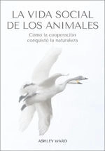 libreriasinopsis2085926