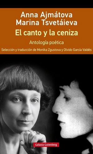 libreriasinopsis403805