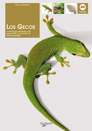 libreriasinopsis413723