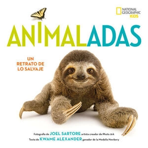 libreriasinopsis494859