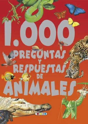 libreriasinopsis529344