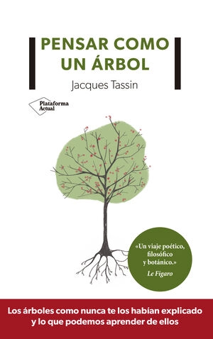 libreriasinopsis589100