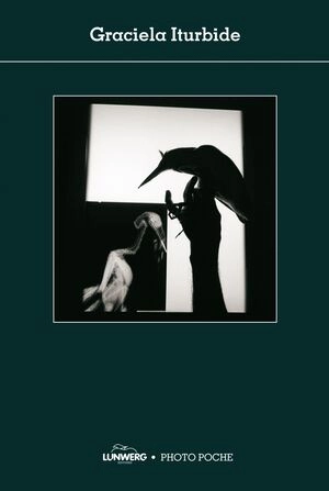 libreriasinopsis687454