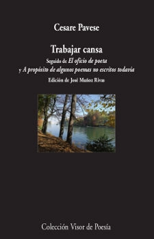 libreriasinopsis704964