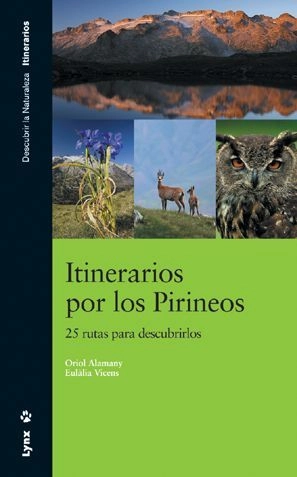 libreriasinopsis711405