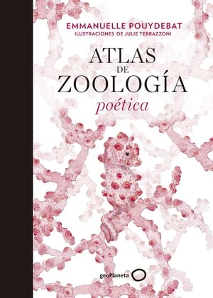 libreriasinopsis851555