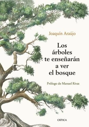 libreriasinopsis979831
